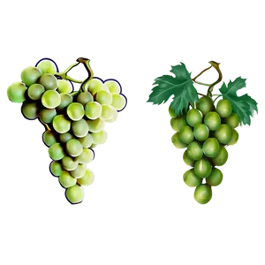Grapes Outline PNG 90