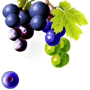 Grapes Silhouette PNG Qhp58