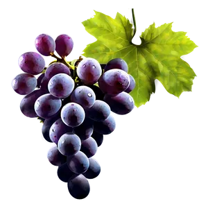 Grapes Silhouette PNG Ypu4