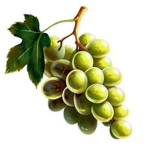 Grapes Sketch PNG Ndn50