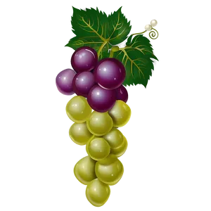 Grapes Vector PNG 05242024