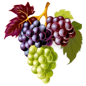 Grapes Vector PNG 05242024