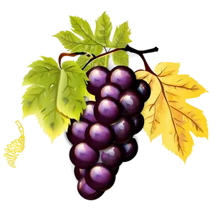 Grapes Vector PNG 05242024
