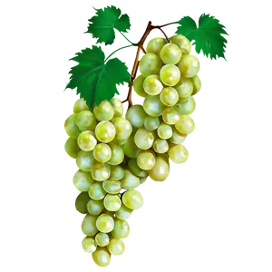 Grapes With Leaves PNG 05242024