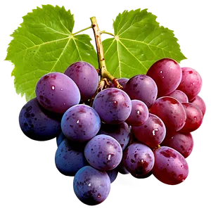 Grapes With Leaves PNG 37