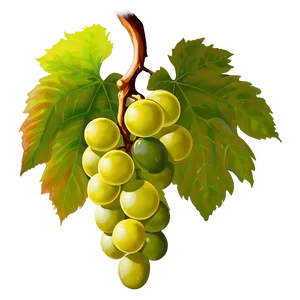 Grapes With Leaves PNG 93