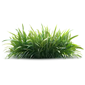 Grass B