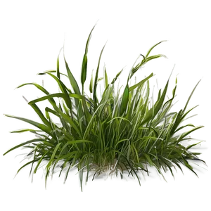 Grass Background Clipart Png Amm PNG image