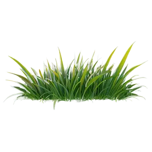 Grass Blades Clipart PNG Bwt95 PNG