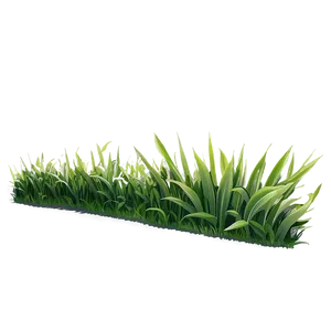 Grass Border Clipart Png Ybg PNG image