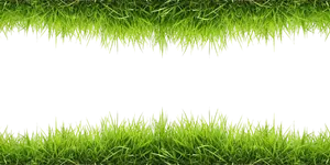 Grass_ Borders_on_ Gray_ Background.png PNG image