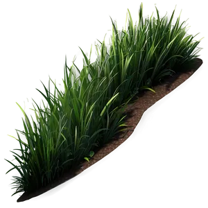 Grass Clipart Collection PNG Igi3 PNG