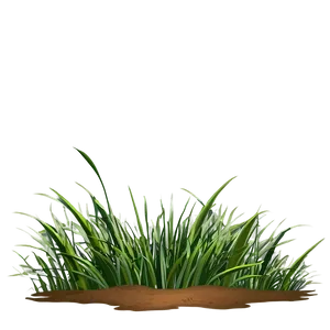 Grass Clipart Compilation PNG 06272024