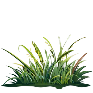 Grass Clipart Compilation PNG 06272024 PNG