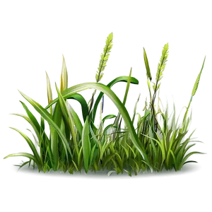Grass Clipart Edition PNG Tke