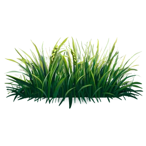 Grass Clipart Png 06272024 PNG image