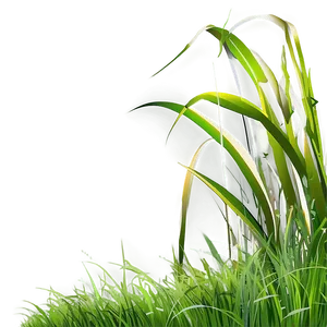 Grass Clipart Png 06272024 PNG image