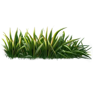 Grass Clipart Set PNG 66