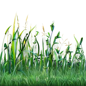 Grass Field Clipart PNG Gtj79 PNG