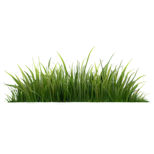 Grass Silhouette Clipart Png 06272024 PNG image