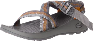 Gray Strapped Sport Sandal PNG