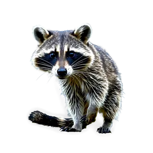 Grayscale Raccoon Sketch PNG Sew14