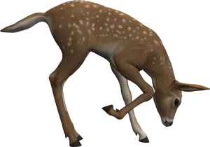 Grazing Fawn3 D Model PNG image