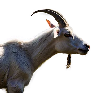 Grazing Goat Png 05232024 PNG image