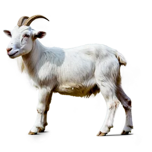 Grazing Goat Png Rog PNG image