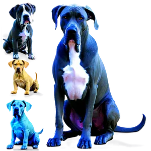 Great Dane Family Png 14 PNG image