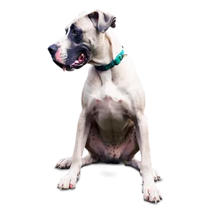 Great Dane In Action PNG Bgi10 PNG
