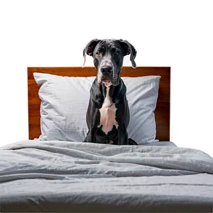 Great Dane In Bed PNG Cqc PNG