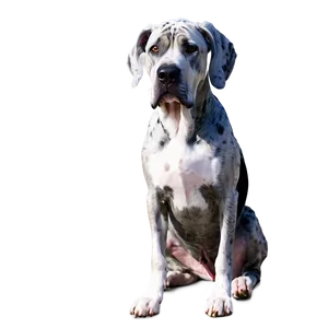 Great Dane In Park Png Agy PNG image