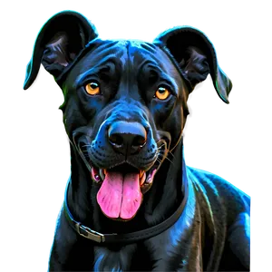 Great Dane In Shade PNG 11 PNG