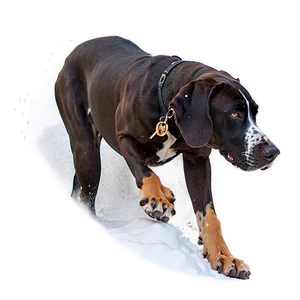 Great Dane In Snow PNG 25