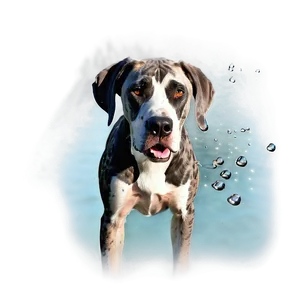 Great Dane In Water PNG Nik76 PNG