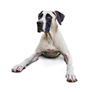 Great Dane Lying Down PNG Tye41