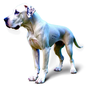 Great Dane Outline PNG 2