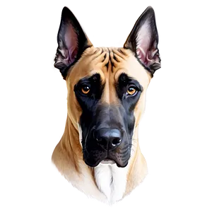 Great Dane Sketch PNG 06212024
