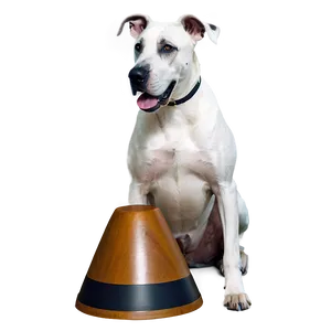 Great Dane Trick PNG 71