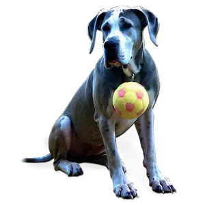Great Dane With Toy PNG Wak15