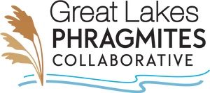 Great Lakes Phragmites Collaborative Logo PNG image