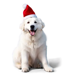 Great Pyrenees Greeting Pose PNG Ekp20 PNG