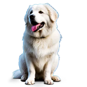 Great Pyrenees Mountain Dog PNG Bgs PNG