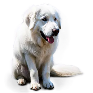 Great Pyrenees Sitting PNG 81 PNG