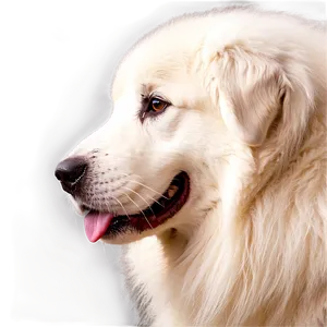 Great Pyrenees With Puppies PNG 06292024