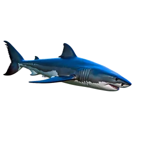 Great White Shark C
