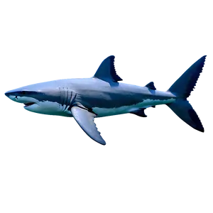 Great White Shark Ecology PNG 06122024