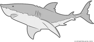 Great White Shark Illustration PNG image