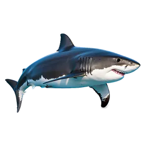 Great White Shark In Action Png 93 PNG image